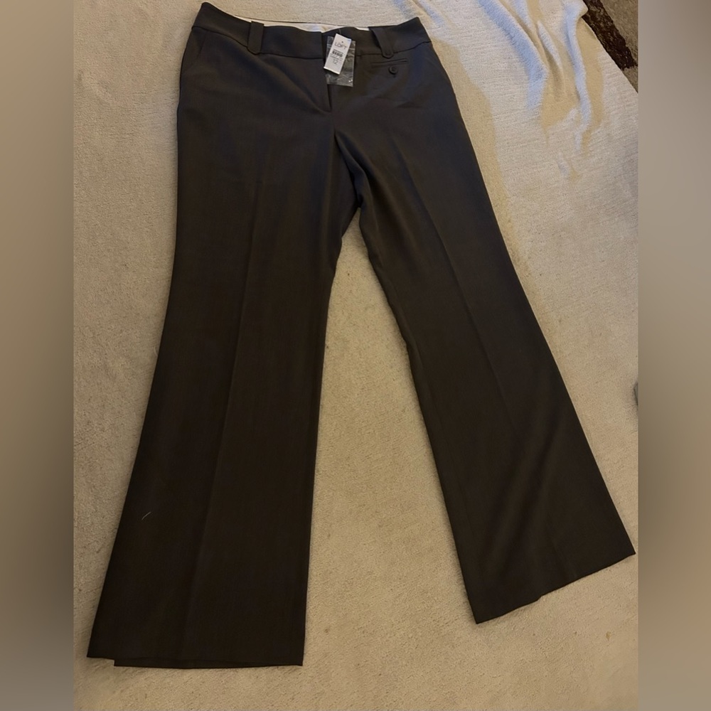 Beautiful brand new Ann Taylor Loft-Julie dress pants